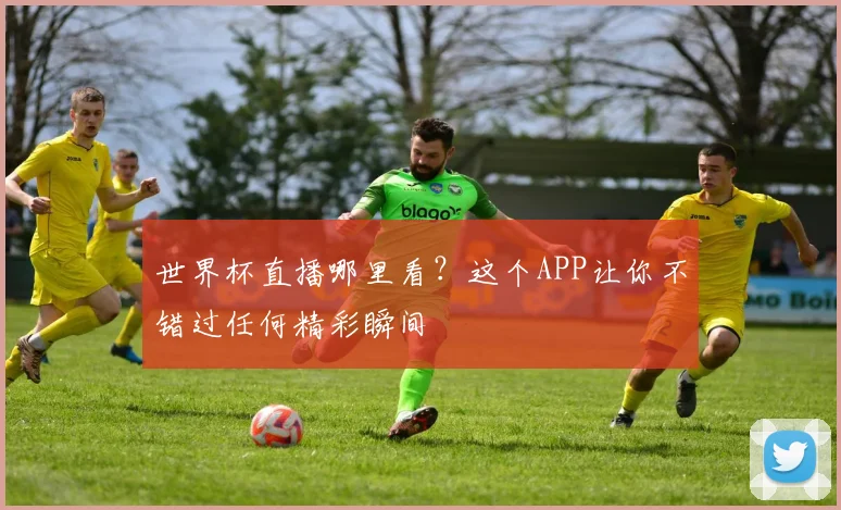 世界杯直播哪里看？这个APP让你不错过任何精彩瞬间