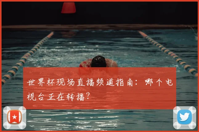 世界杯现场直播频道指南:哪个电视台正在转播?