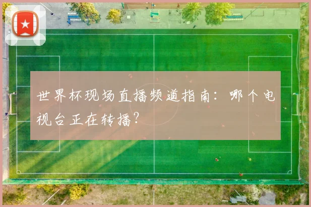 世界杯现场直播频道指南:哪个电视台正在转播?
