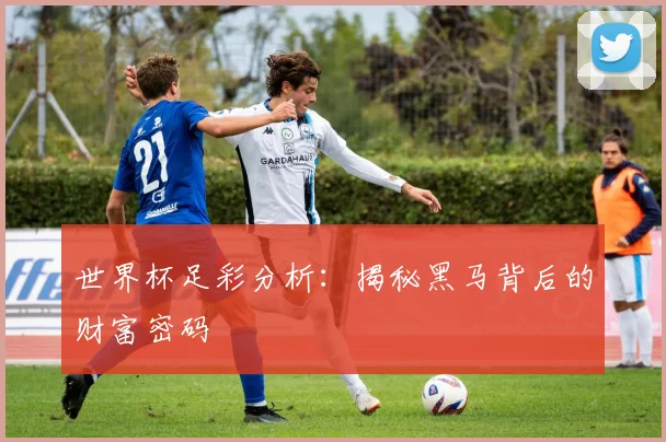 世界杯足彩分析：揭秘黑马背后的财富密码