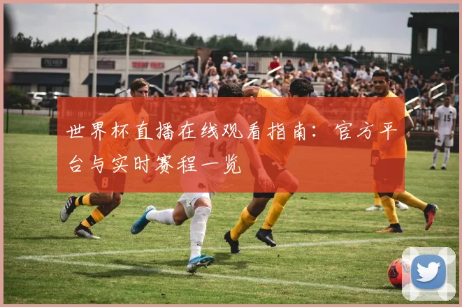 世界杯直播在线观看指南：官方平台与实时赛程一览