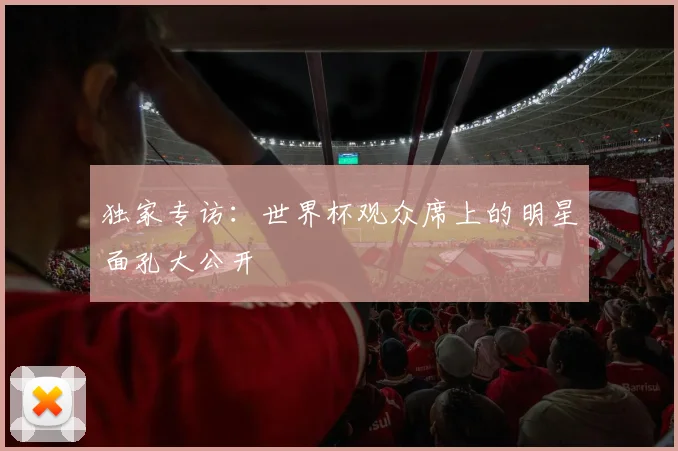 独家专访:世界杯观众席上的明星面孔大公开