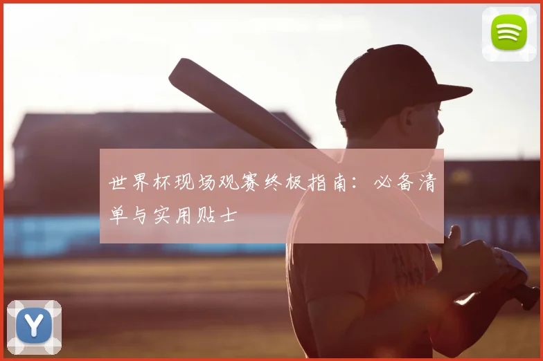 世界杯现场观赛终极指南：必备清单与实用贴士