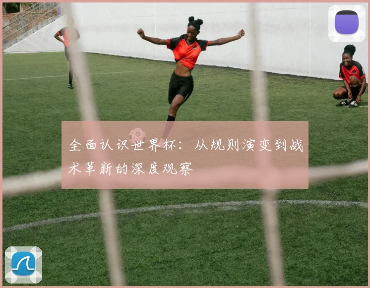 全面认识世界杯：从规则演变到战术革新的深度观察
