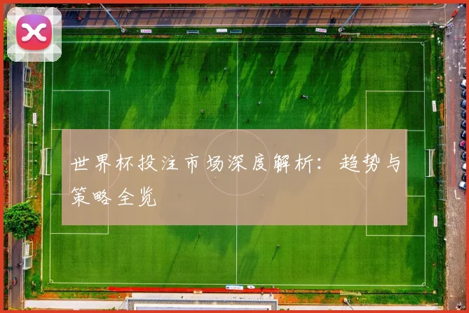 世界杯投注市场深度解析：趋势与策略全览