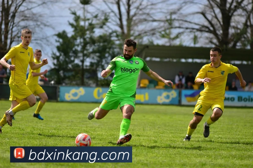 mk官网平台生态图